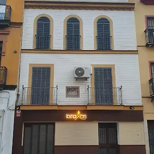 Loft Centrico Apartment Seville